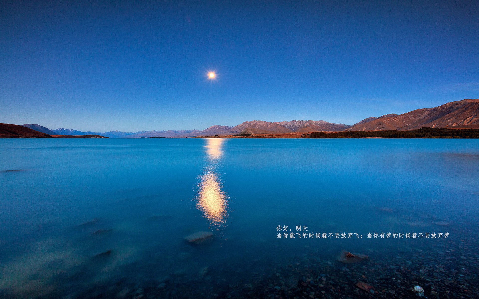 斯诺克大师赛：策略与精准的对决，斯诺克大师赛最新战报