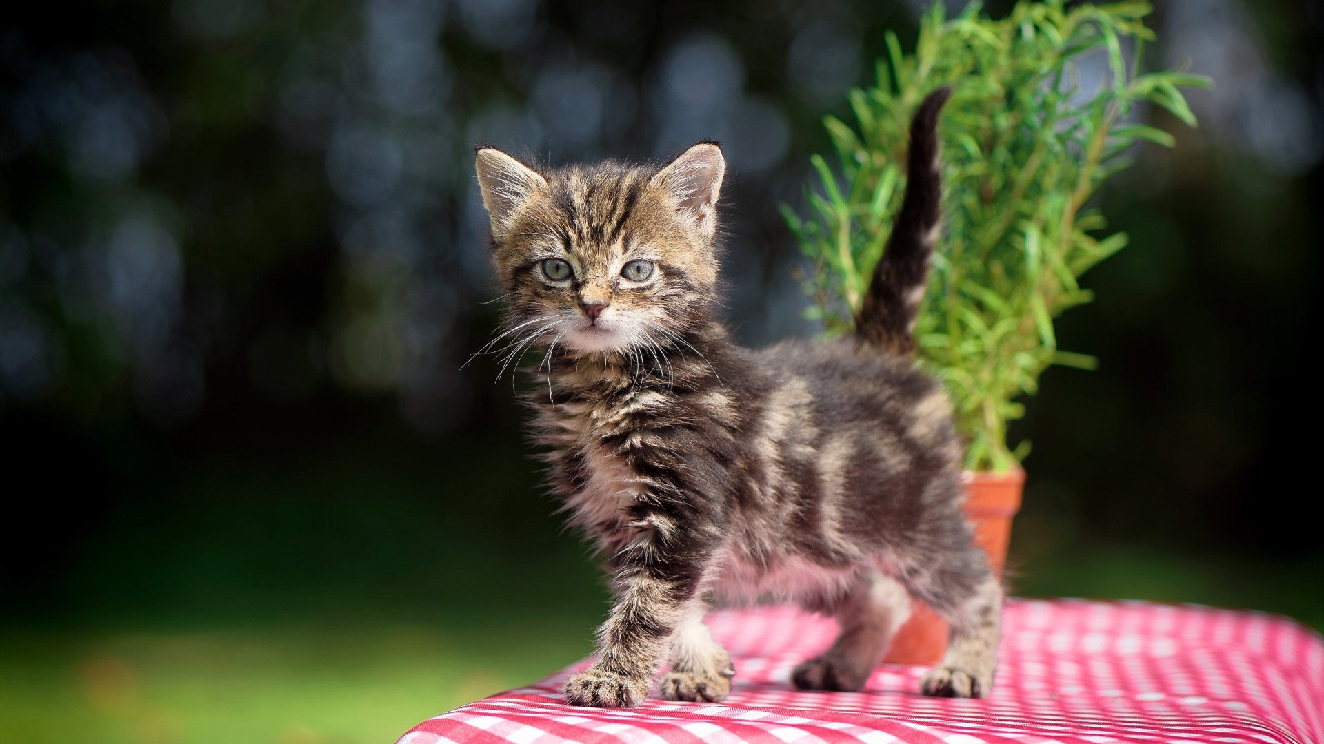 推动瑜伽与健康产业融合发展，推动瑜伽与健康产业融合发展的建议