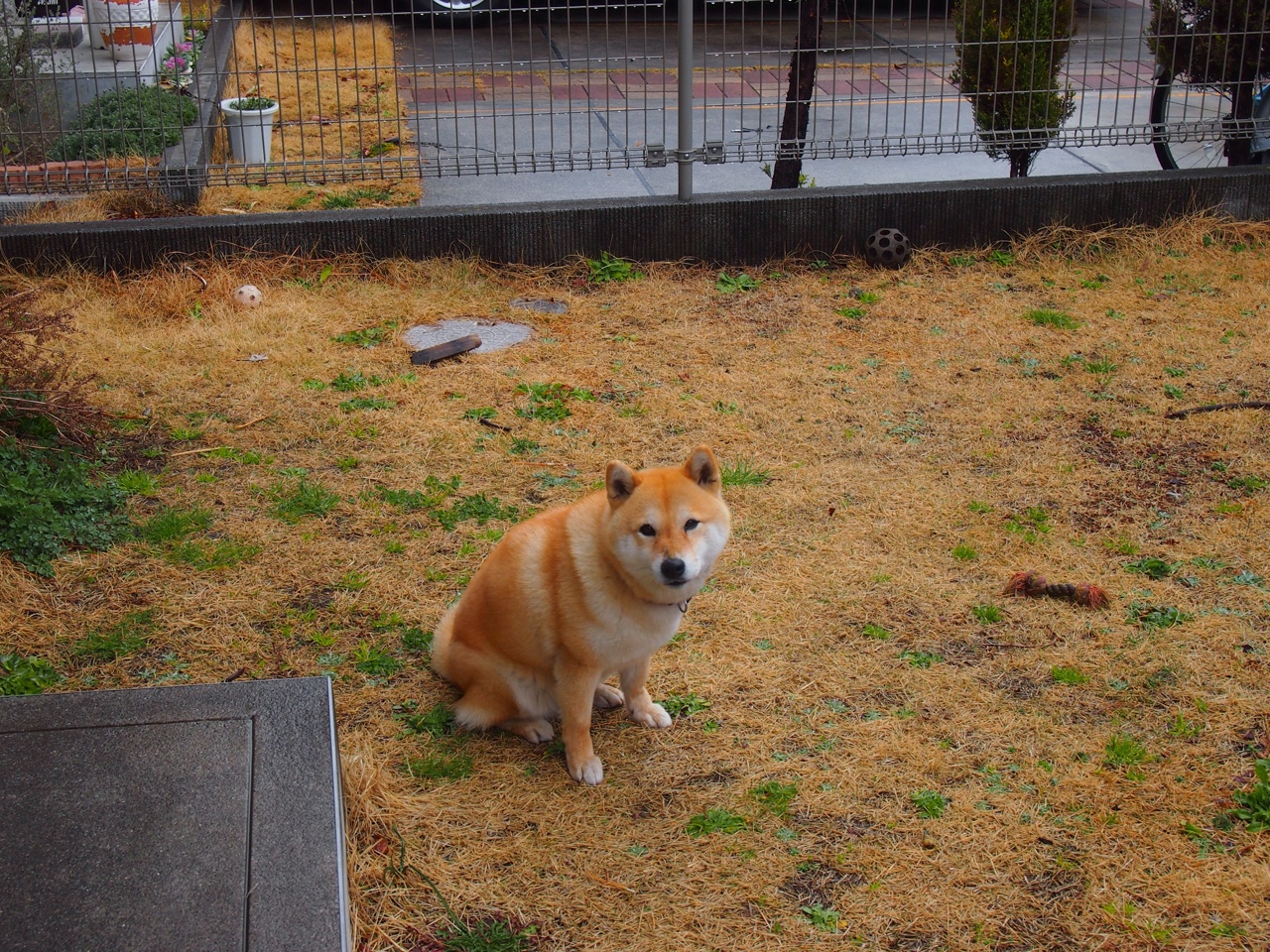 开云官方-深圳新鹏城年轻球员闪耀全场，深圳鹏城足球队名单