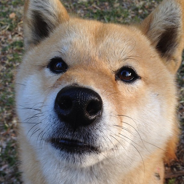 kaiyun开云·官方网站-花式轮滑交流赛，青春在轮转中飞扬，花式轮滑表演