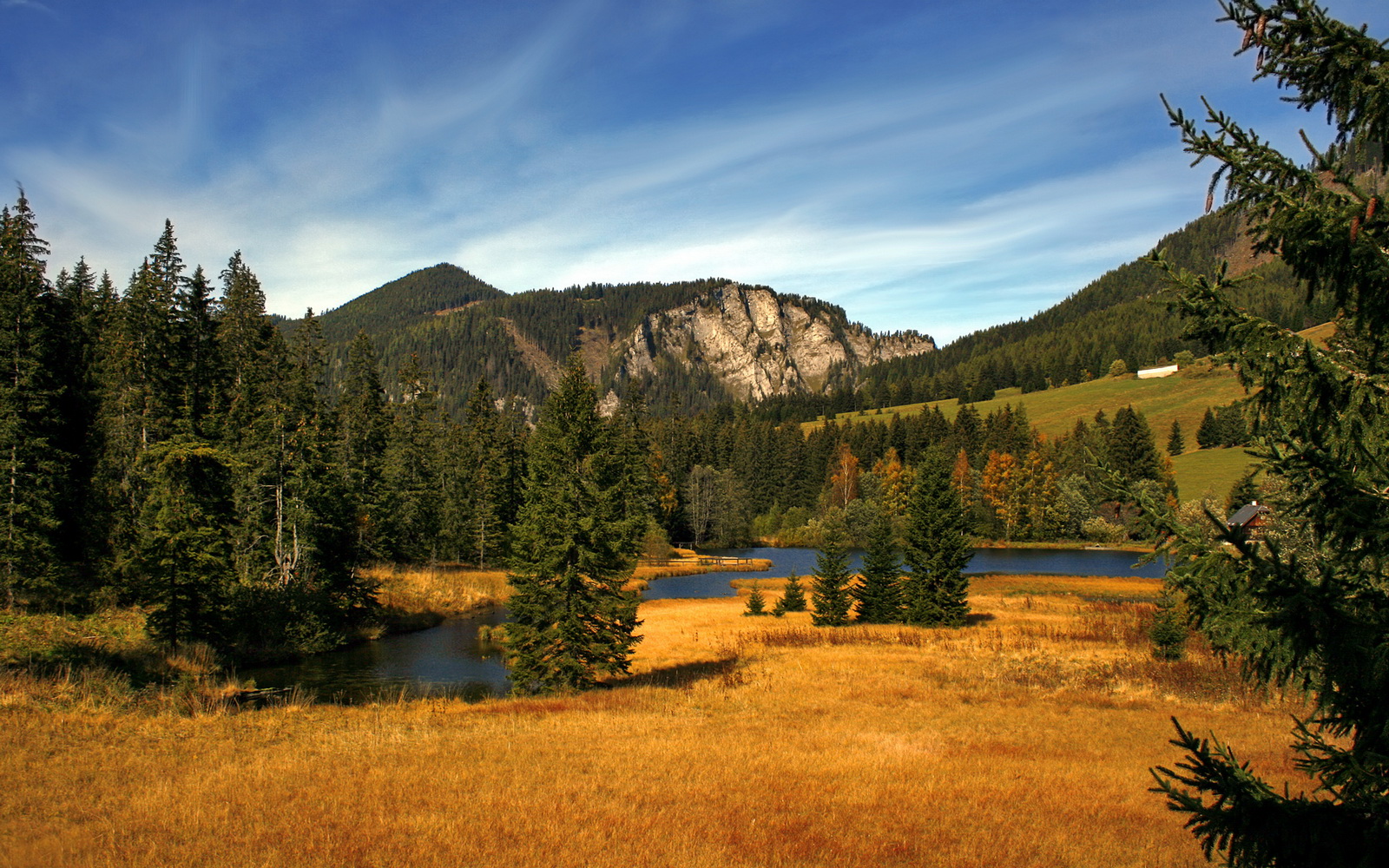 老将带领奇才,稳扎稳打赢比赛