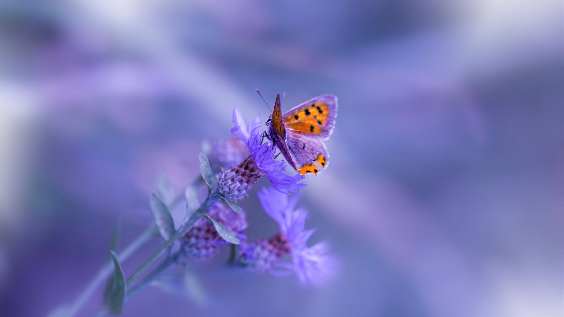 kaiyun官方入口登录-赛事场馆智能安全检测平台正式投入使用，安全保障更有力，竞赛场馆