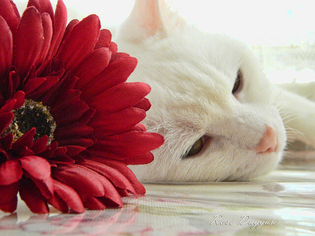 kaiyun开云·官方网站-青训“软硬结合”打造高品质训练体系，行业迈向新台阶，青训 高质量的训练 什么意思