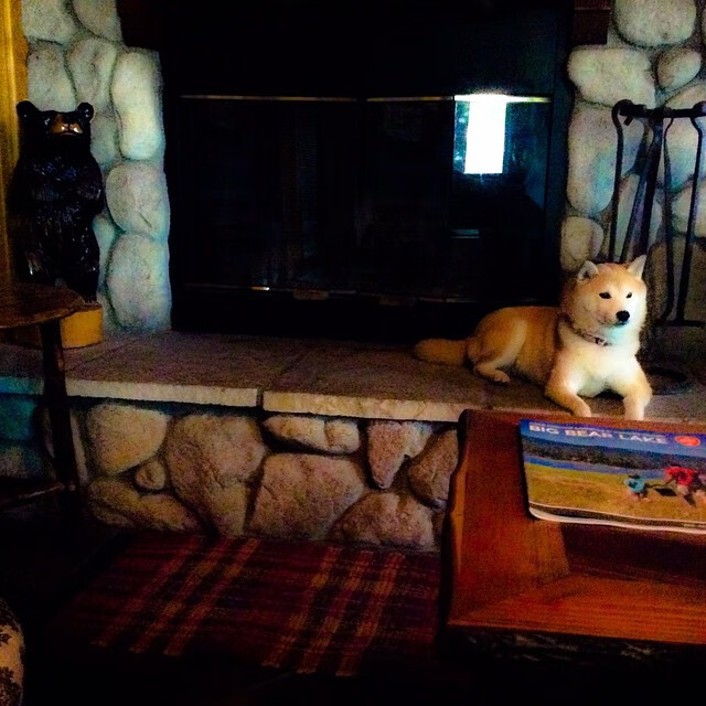 FaZe电竞品牌入驻LOL宇宙,faze战队百度百科