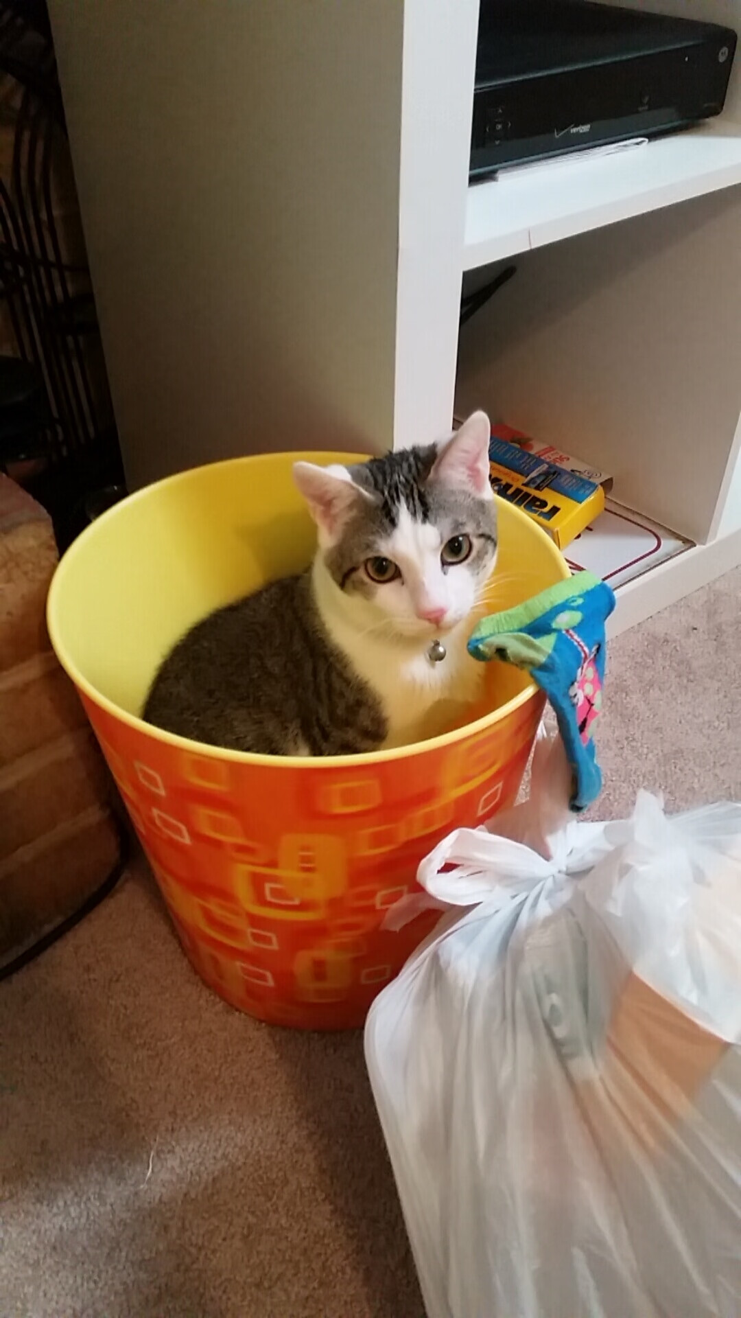 开云kaiyun-LPL官方发布电竞选手身体素质考核办法，电竞选手身体健康