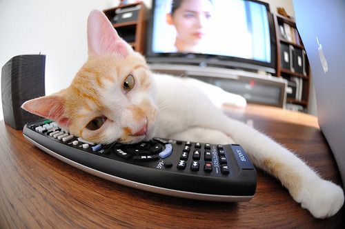 kaiyun体育综合-腾讯电竞赛事举办地覆盖全球，腾讯进军电竞