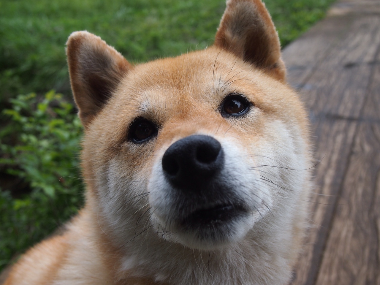 开云网站-青训是否应注重培养球员创造力和智慧，青训对足球的重要性