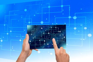 开云体育APP下载-中国篮球青训体系教练员能力评估与发展规划，篮球教练员素养