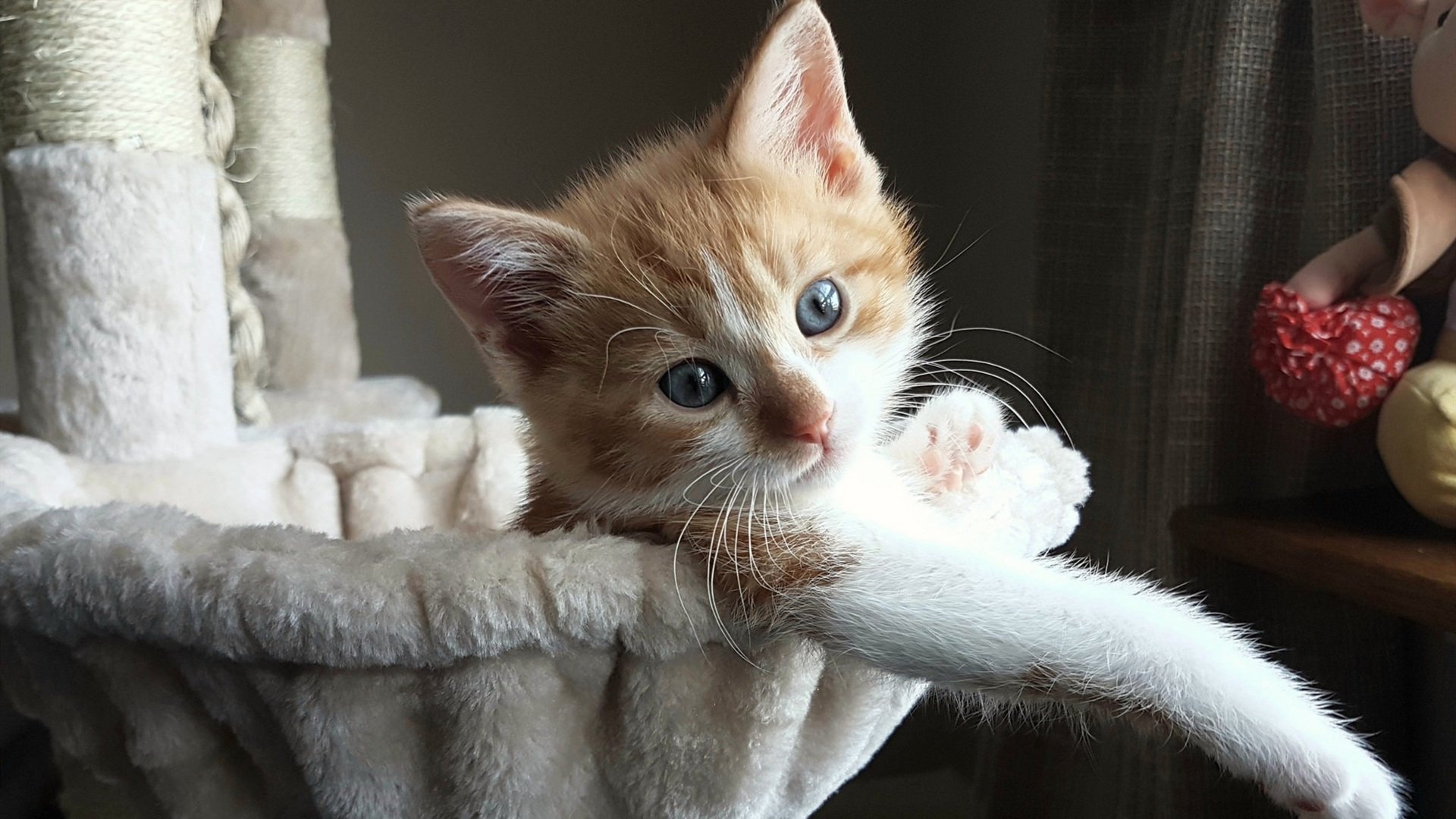 开云中国大陆-中小学体育教师培训体系优化研究，中小学体育骨干教师培训总结