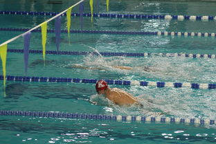 kaiyun官方入口登录-全国青少年游泳锦标赛青春风采尽展，全国青少年游泳比赛成绩