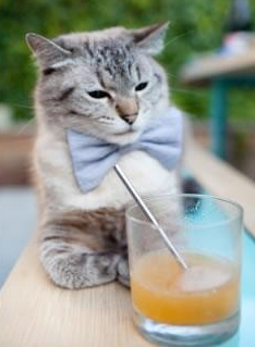 地区大战:世俱杯小组赛中的经典战役盘点,2021年世俱杯八个城市