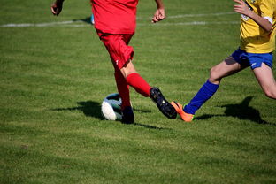 开云kaiyun-篮球训练计划科学制定及执行效果跟踪研究，简述篮球训练计划制定步骤