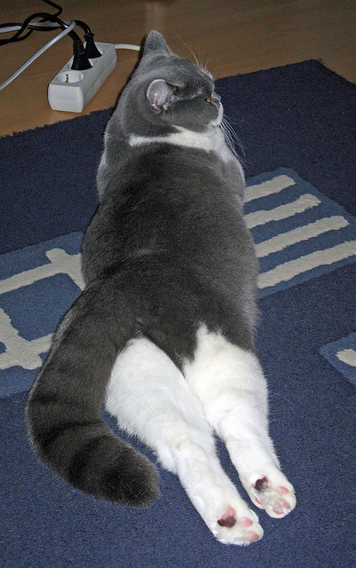 “水上救生:三叉湖游泳馆赛场英勇与智慧并肩作战”