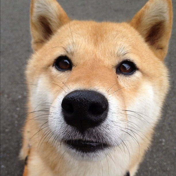 开云体育-广东男篮备战季后赛训练强度明显加大，广东男篮赛后新闻发布会