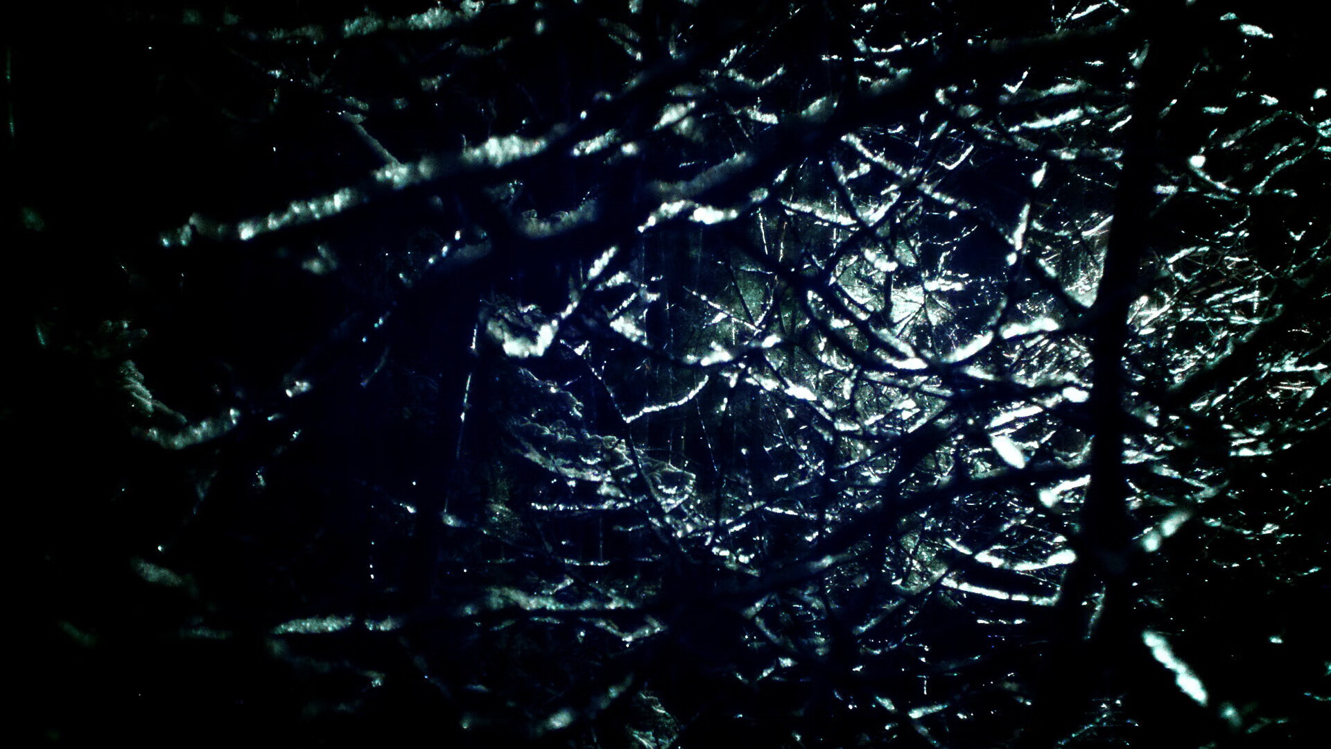 kaiyun登录入口-“埃尔斯·霍斯特：南非羚羊队稳定防守背后的功臣”