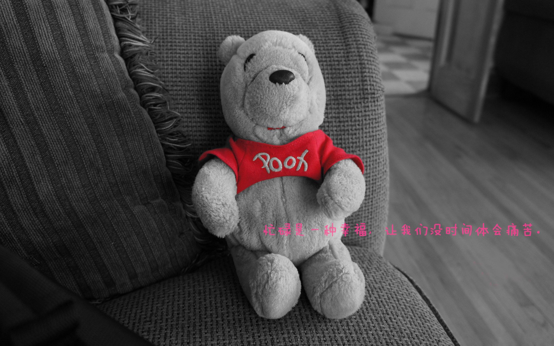 开云网站-中国篮球社群经济兴起球迷参与度与互动活跃持续提升，中国篮球受众群体比例