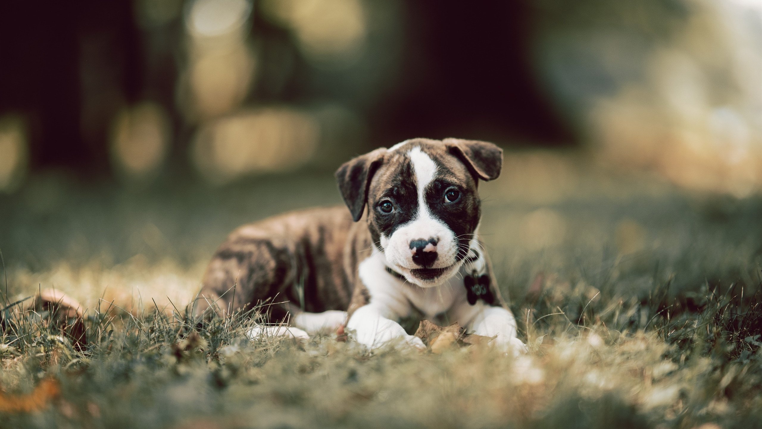 中学篮球赛事丰富比赛形式提升趣味性,中学篮球赛策划书 完整版