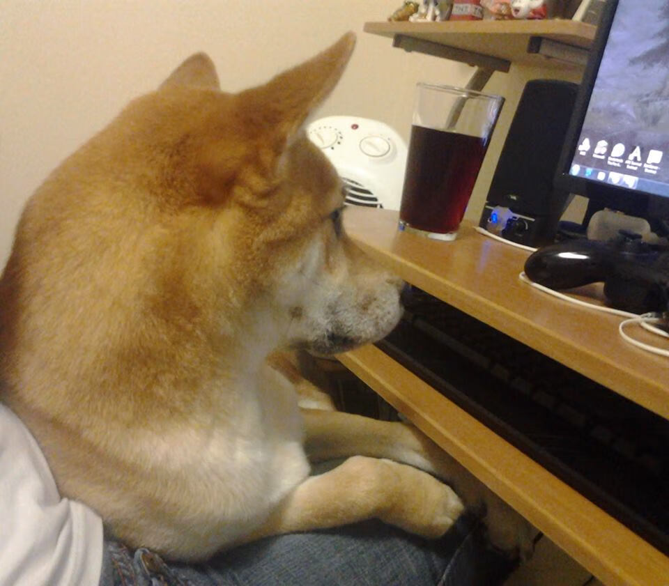 湖人才华少年新秀首秀登场,湖人2020年选哪位新秀