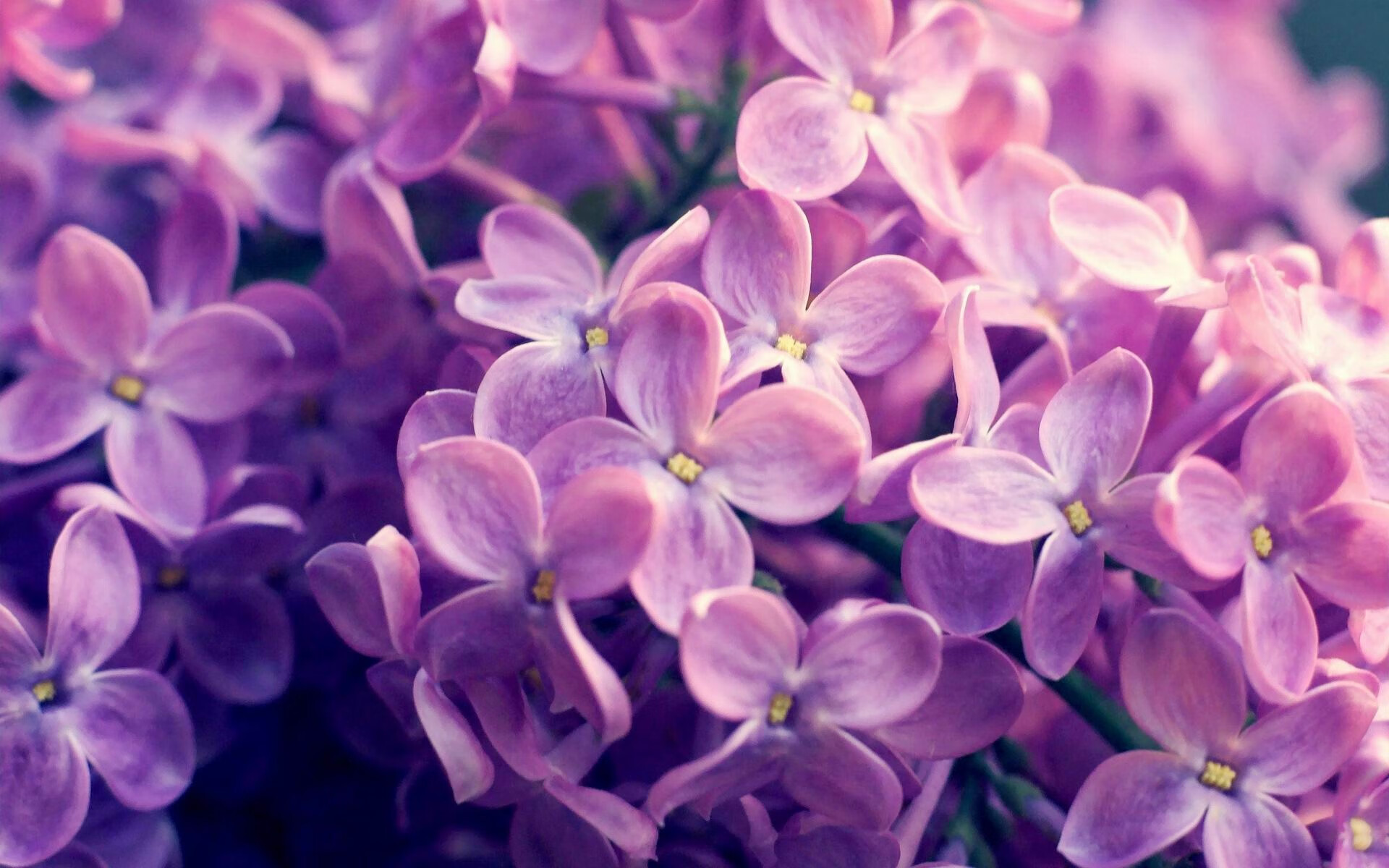 kaiyun登录入口-职业联赛举办球员思维训练营加强战术理解能力，球星思维